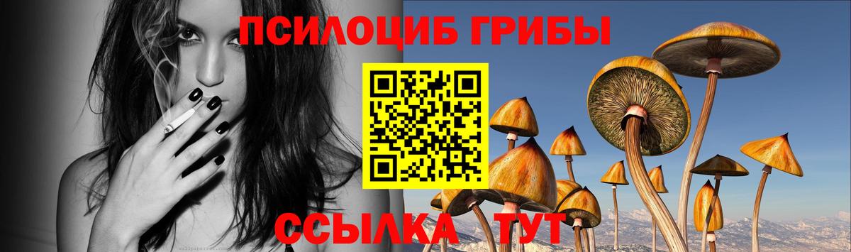 Галлюциногенные грибы прущие грибы  Псилоцибиновые грибы мицелий  Норильск  Вход с VPN 